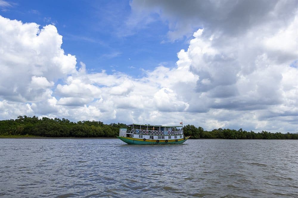 Boat Safari